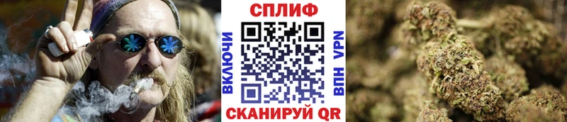 Каннабис сатива  Обоянь 